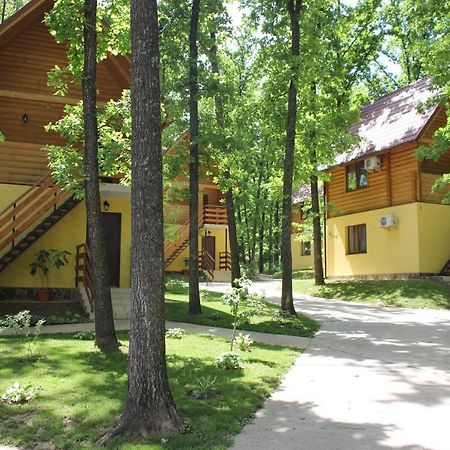 Вілія Ξενοδοχείο Lomacineţi Εξωτερικό φωτογραφία