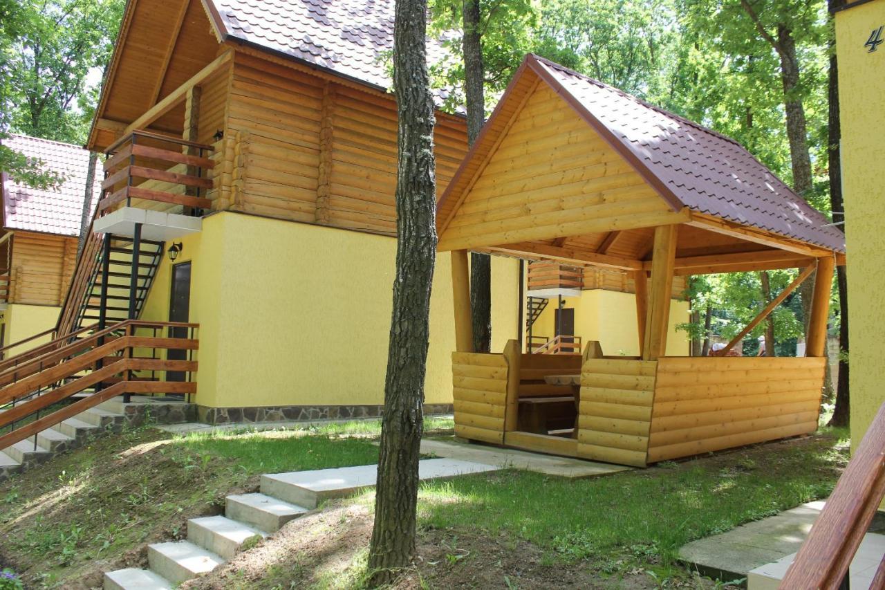 Вілія Ξενοδοχείο Lomacineţi Εξωτερικό φωτογραφία